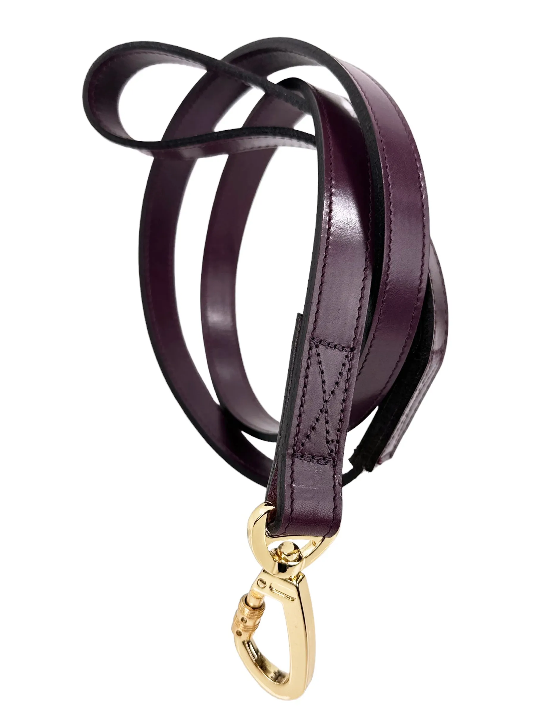 Daisy Dog Leash in Royal Purple & Gold