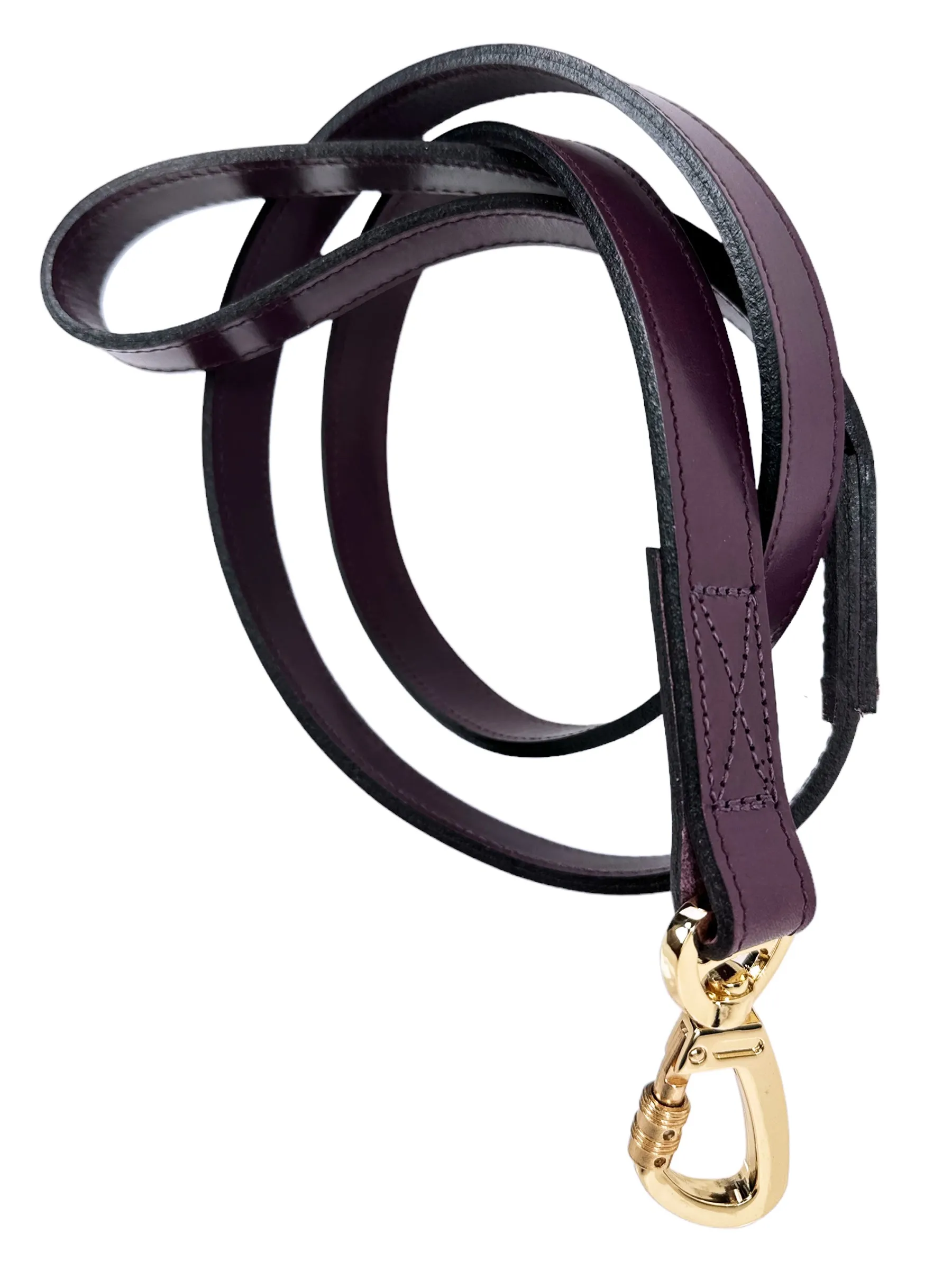 Daisy Dog Leash in Royal Purple & Gold