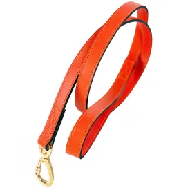 Octagon Dog Leash in Tangerine & Gold